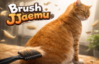 Brush Jjaemu img