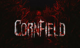 Cornfield background